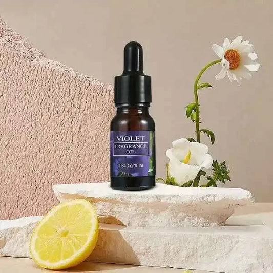 10ml Car Perfume Refill Liquid Flavor Essential Oil with Dropper Car Air Freshener Refill For Air Humidifier Home Auto Fragrance