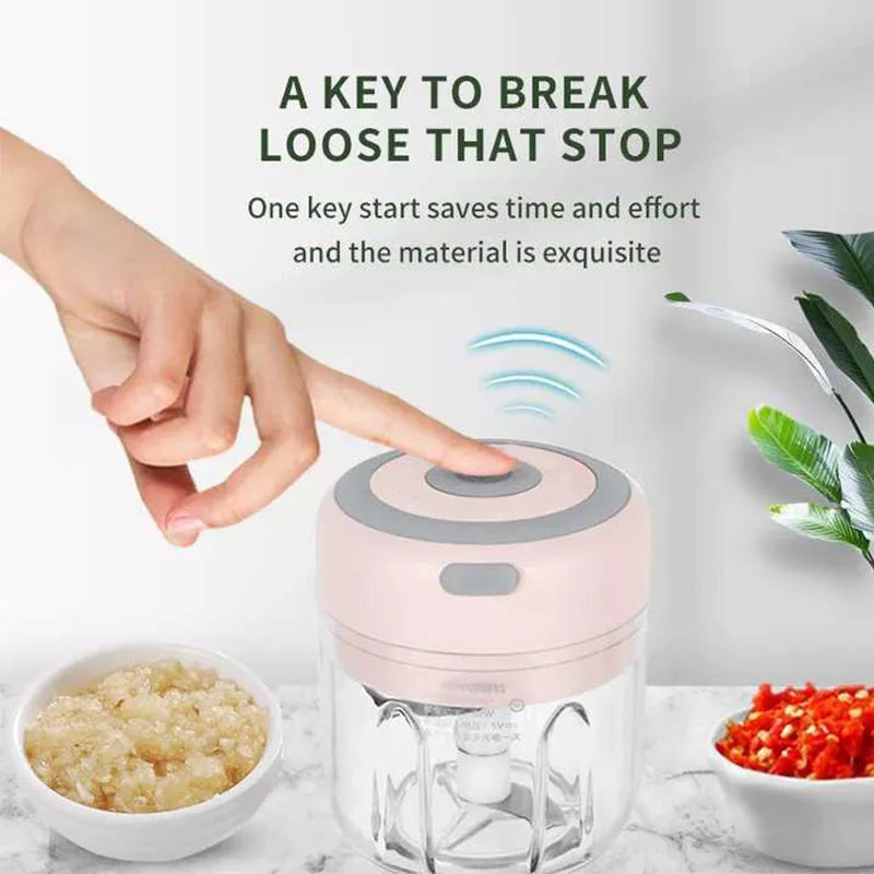 Automatic Electric Garlic Crusher Speedy Blender Usb Portable 250ml