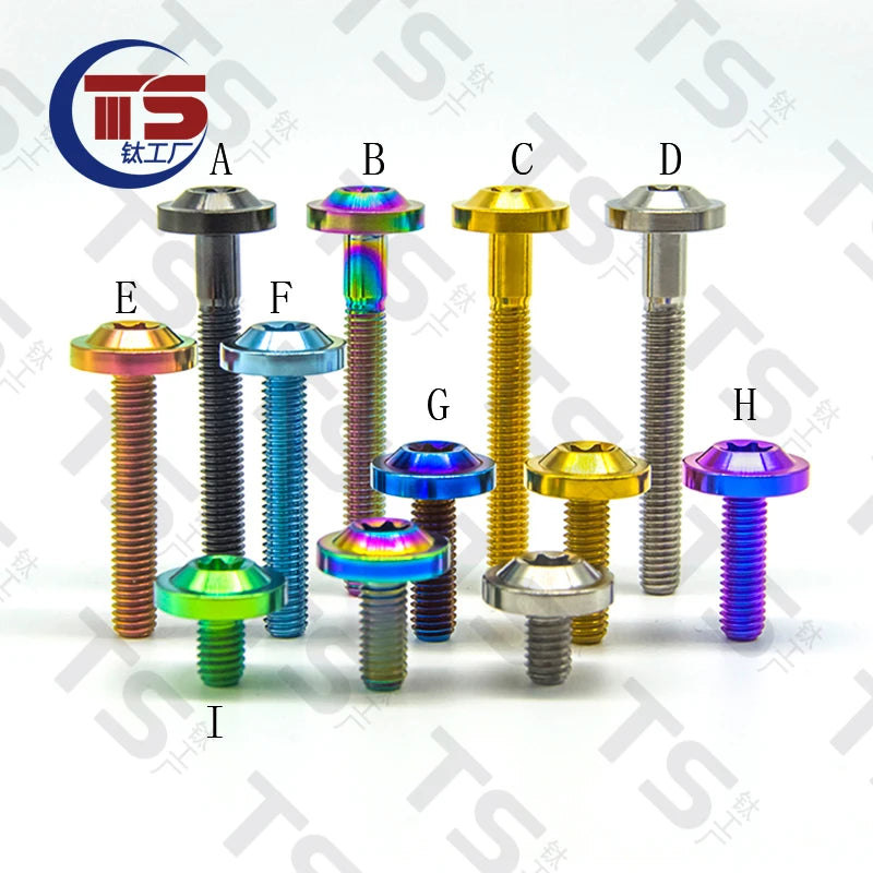Torx Titanium Bolts 10 pcs TS M4/M5/M6/M8X10/15/20/25/30/35-60mm multicolour grade 5